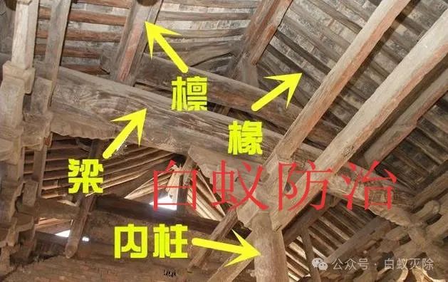 灭白蚁_灭白蚁一般多少钱_灭白蚁要钱吗