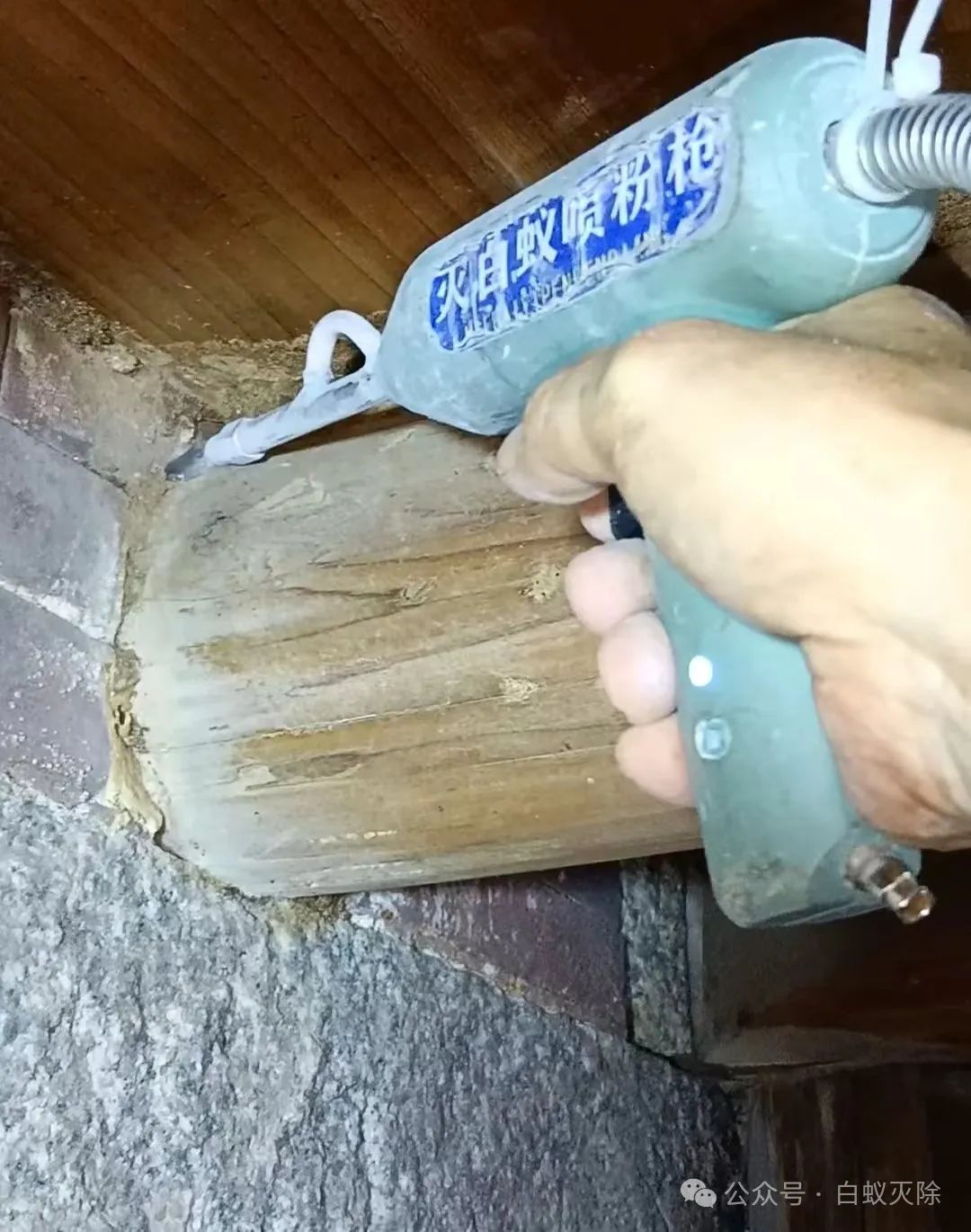 灭白蚁_灭白蚁要钱吗_灭白蚁一般多少钱