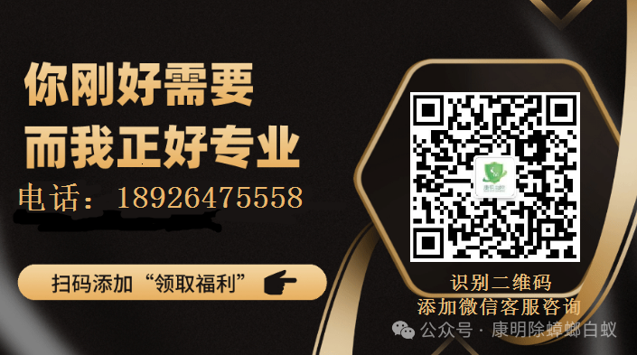 灭白蚁的收费标准_灭白蚁一般多少钱_灭白蚁要钱吗