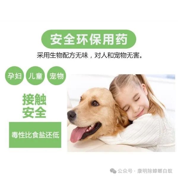灭白蚁一般多少钱_灭白蚁的收费标准_灭白蚁要钱吗