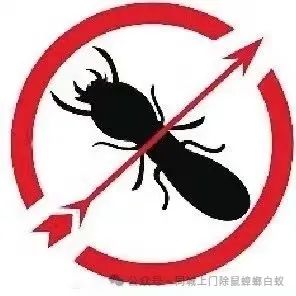 灭白蚁要钱吗_灭白蚁_灭白蚁一般多少钱