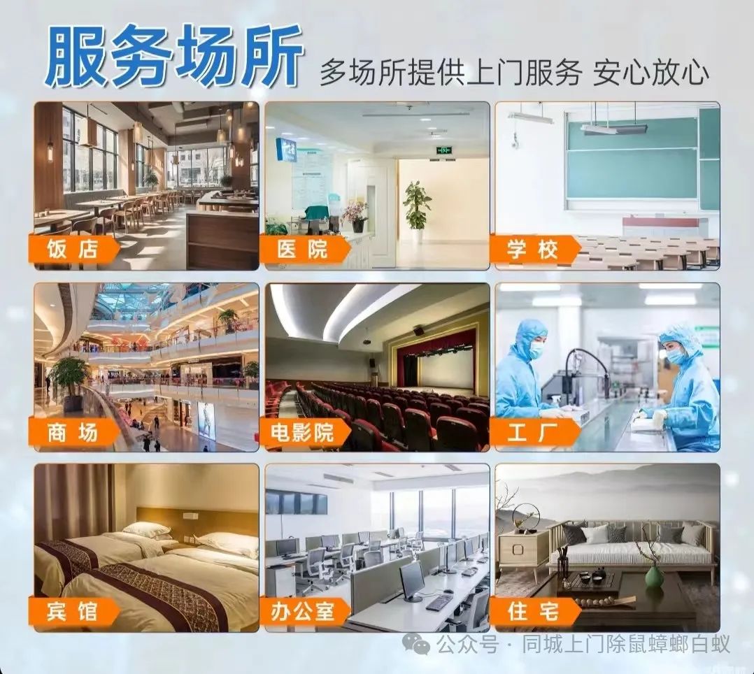 灭白蚁一般多少钱_灭白蚁_灭白蚁要钱吗