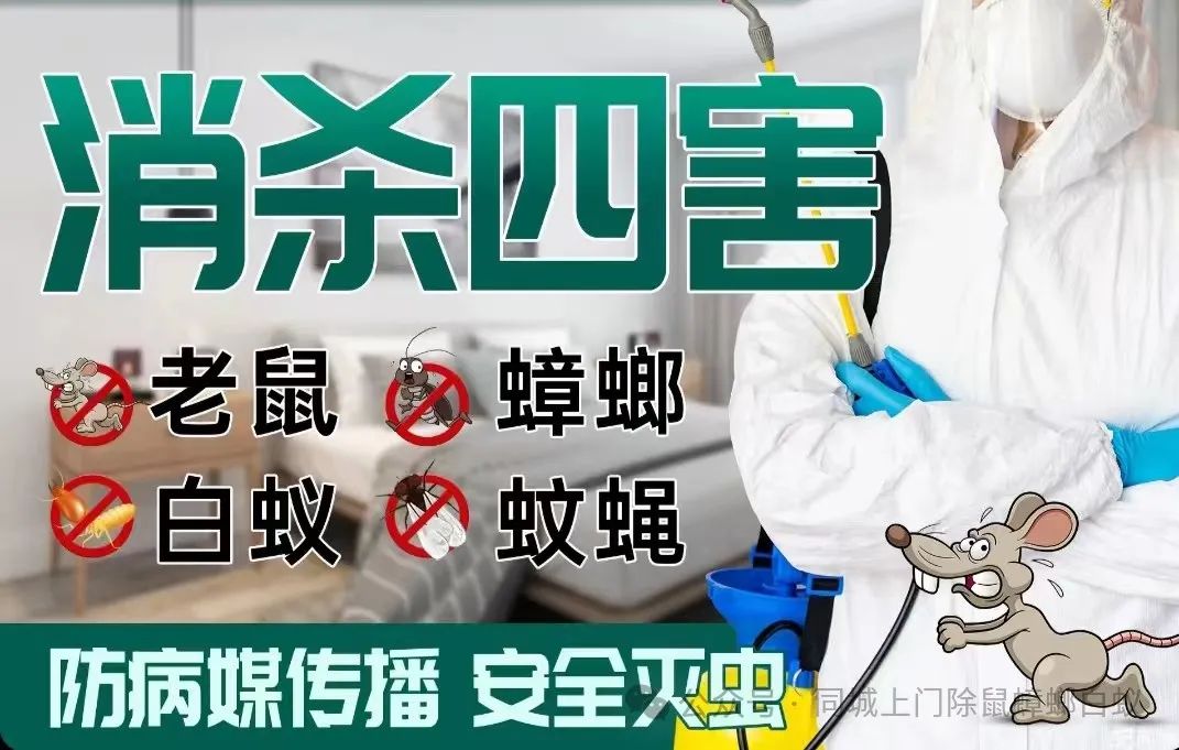 灭白蚁一般多少钱_灭白蚁_灭白蚁要钱吗