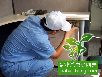 怎样灭臭虫有效又安全_灭臭虫方法_杀灭臭虫方法全集