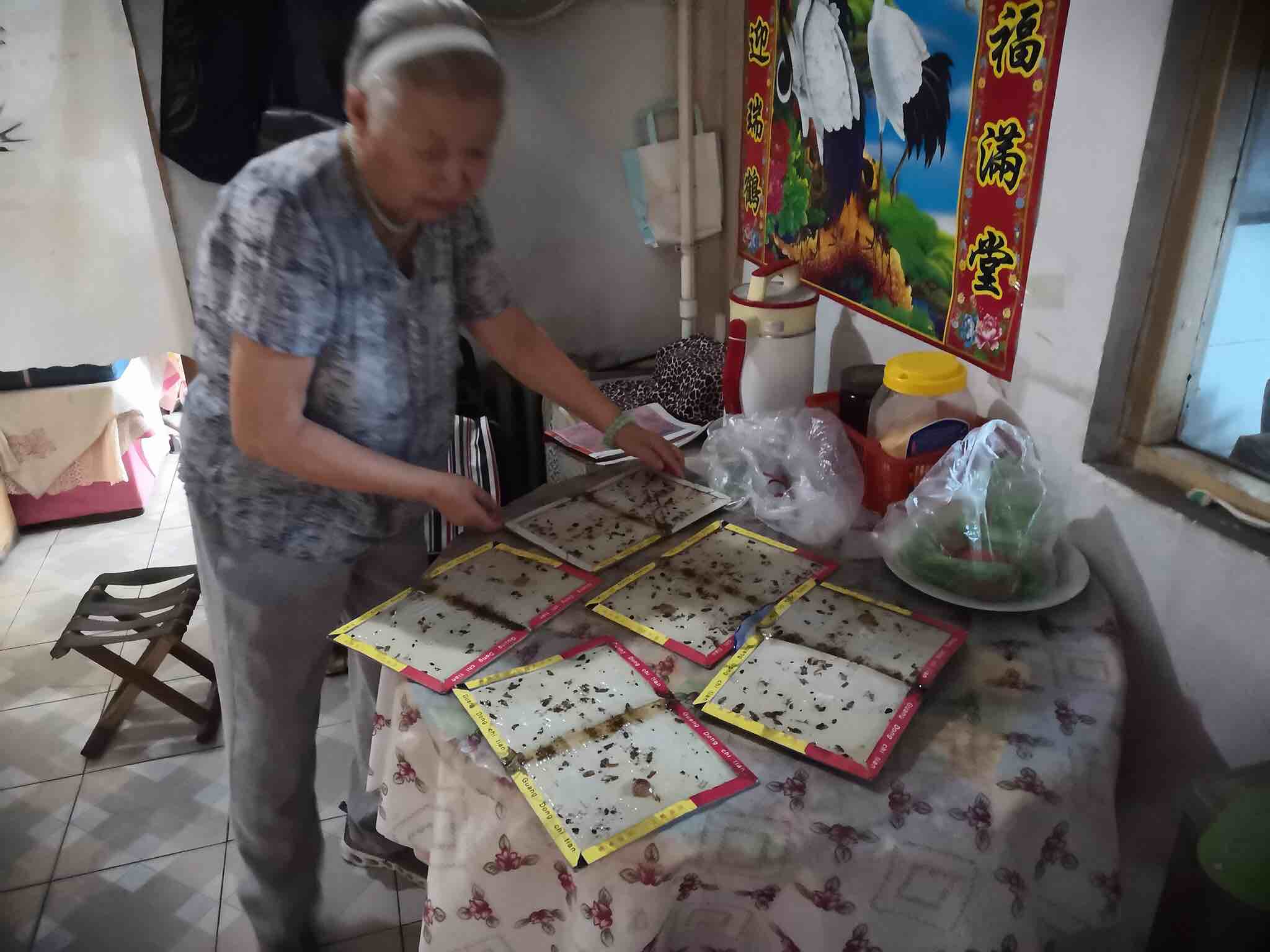 上门灭除老鼠_上门清除老鼠_灭老鼠上门服务