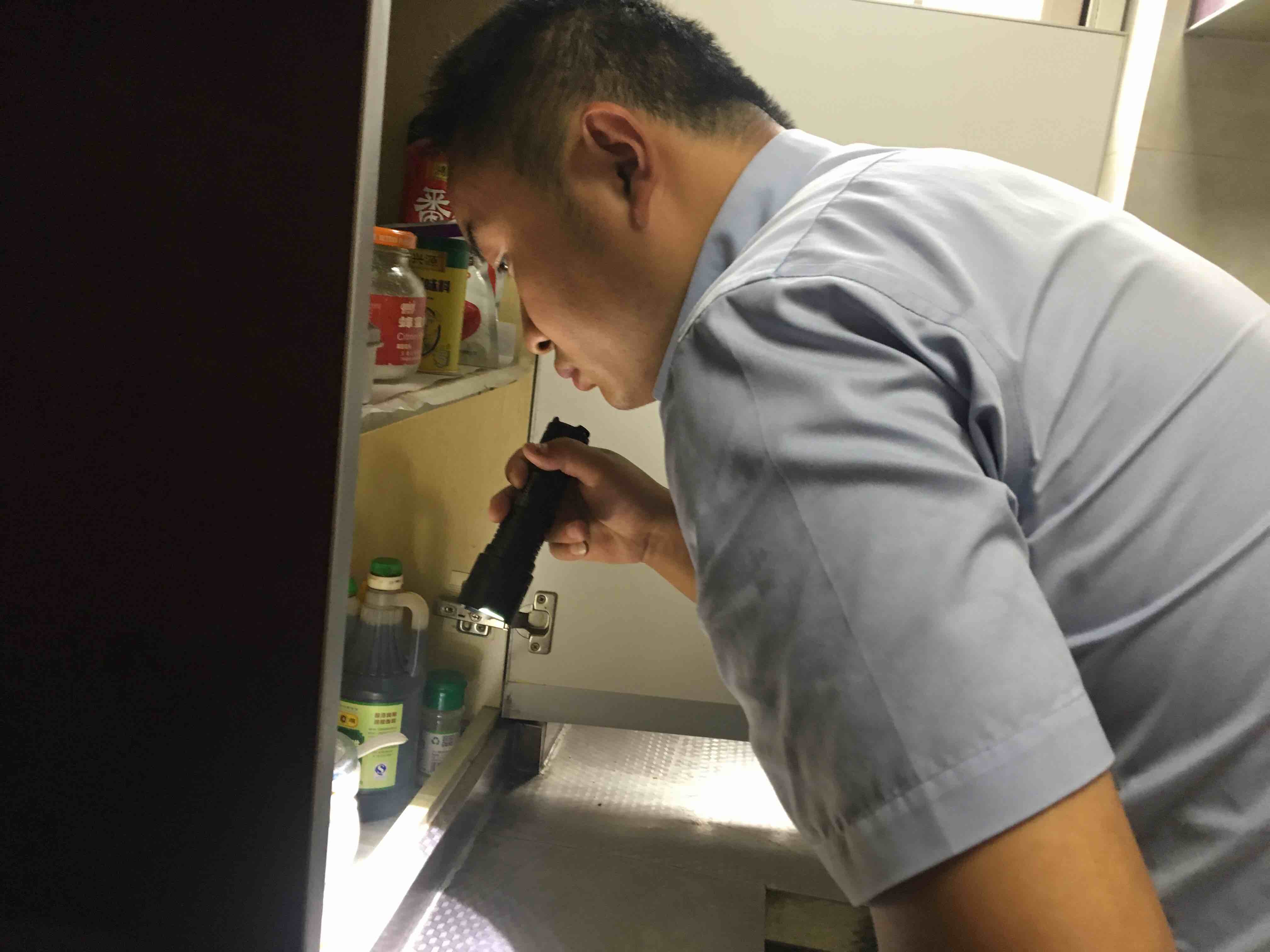 上门灭除老鼠_灭老鼠上门服务_上门清除老鼠