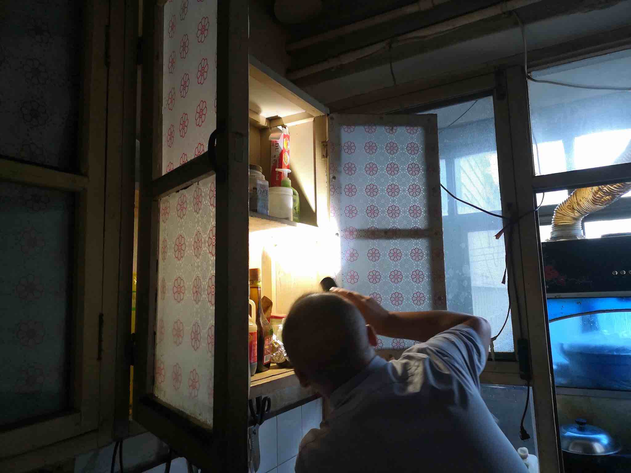 上门灭除老鼠_上门清除老鼠_灭老鼠上门服务