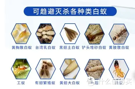 联苯菊酯白蚁药什么牌子好