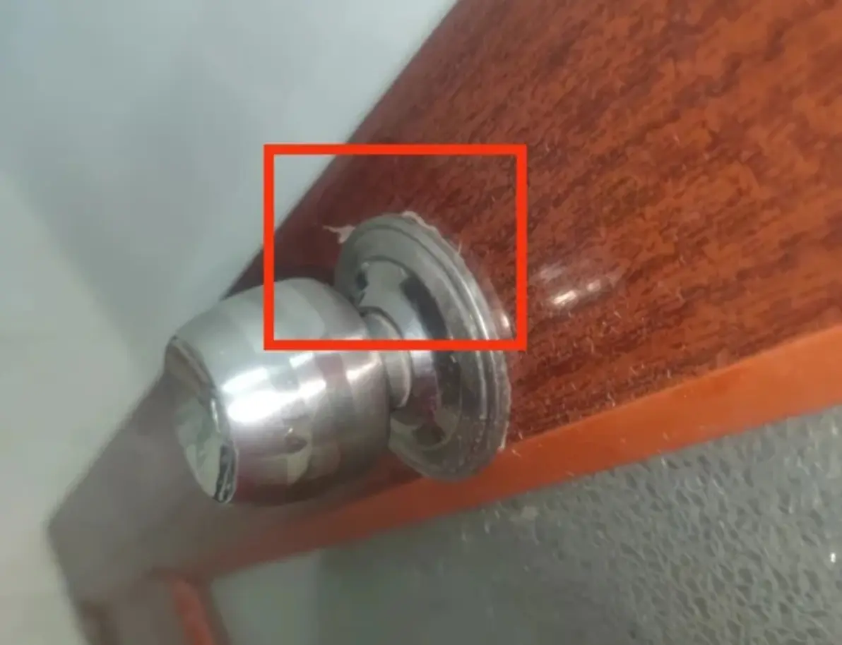 灭臭虫神器_灭臭虫的用品_灭臭虫用什么药