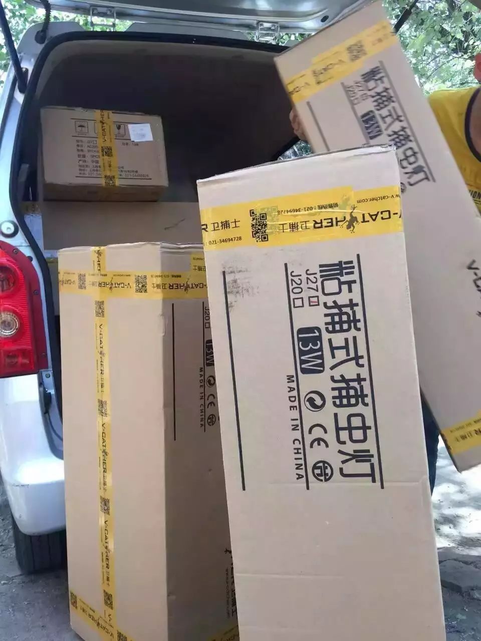 苍蝇灭药有效期多久_灭苍蝇最有效的药_灭苍蝇药物