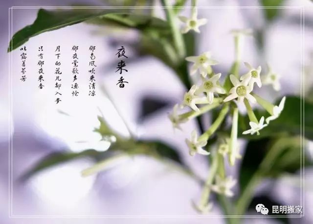 灭蚊子的方法_灭蚊子妙方_灭蚊子的100种方法
